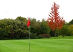 Nature at Whipsnade Park Golf Club